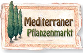 Online Shop f&uuml;r mediterrane Pflanzen